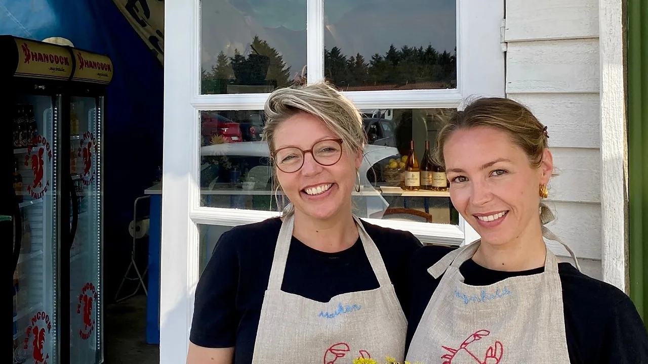 Maiken og Ragnhild med deres broderede forklæder i vinduet ind til køkkenet.